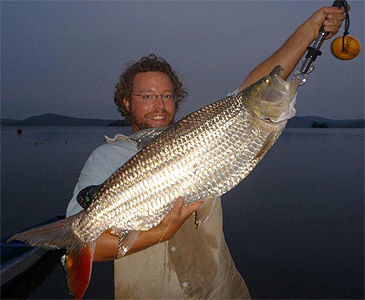 2964_Marc Towers_North African Tigerfish_Hydrocynus brevis.jpg